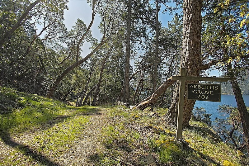206 Narrows West Road