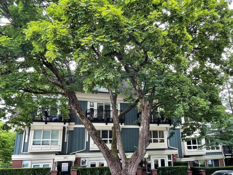3685 - W 12th Avenue