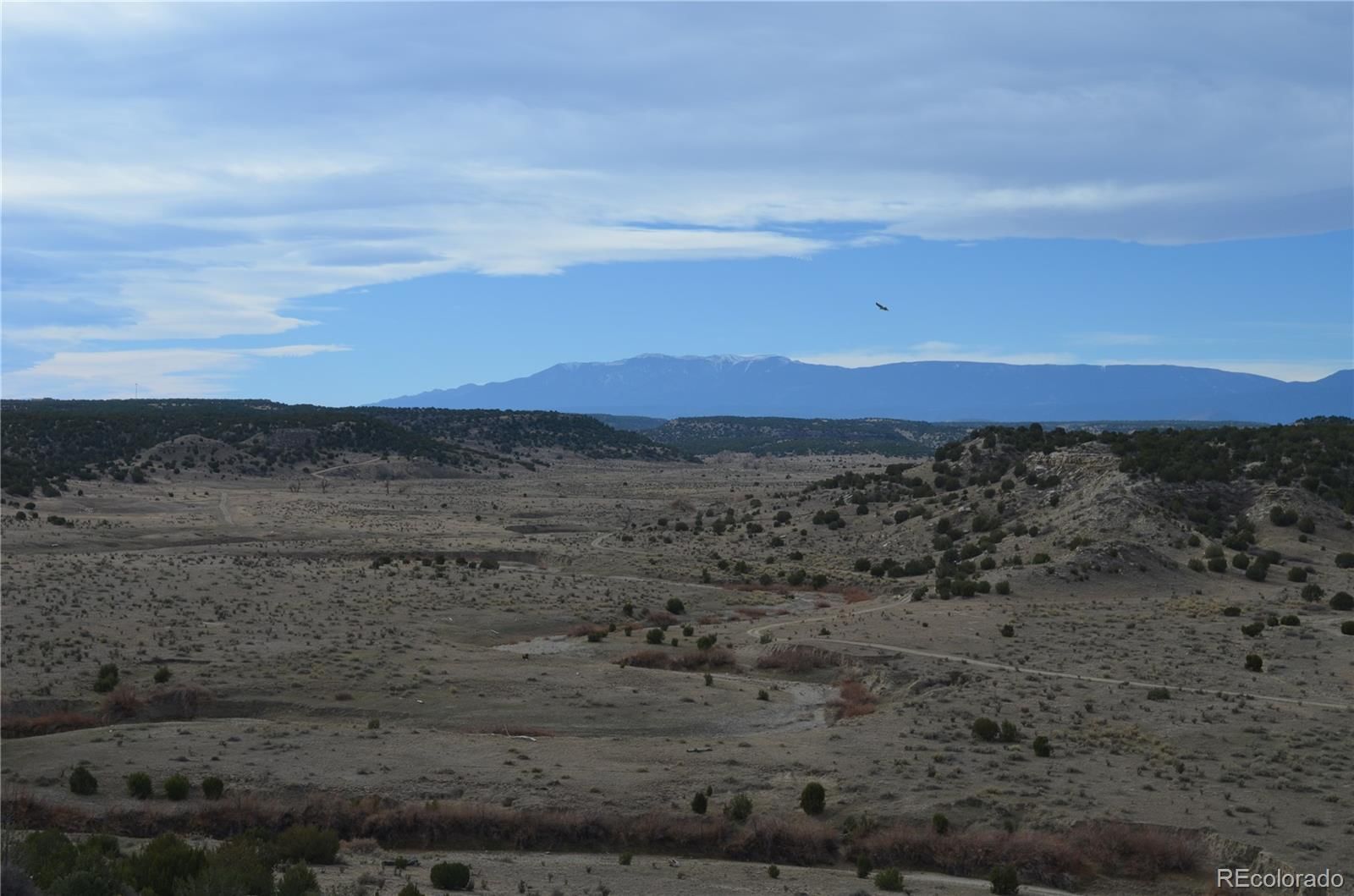 Red Creek Springs Road
