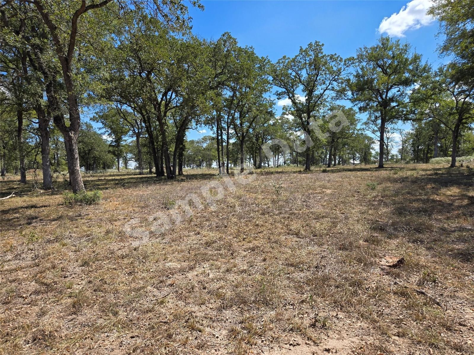 Photo of SH 304 RD