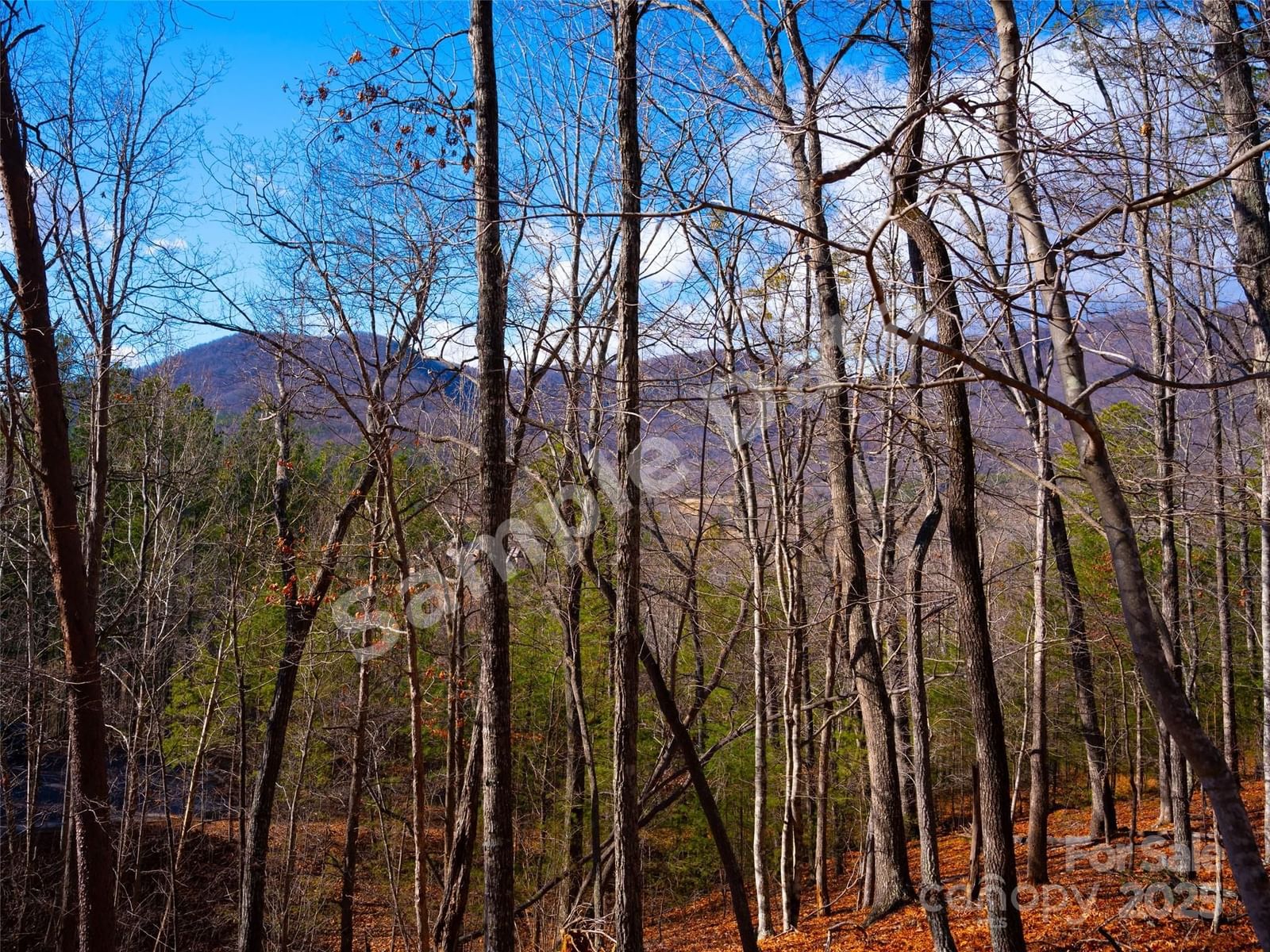 Photo of Lot 29 Deep Gap Farm Road