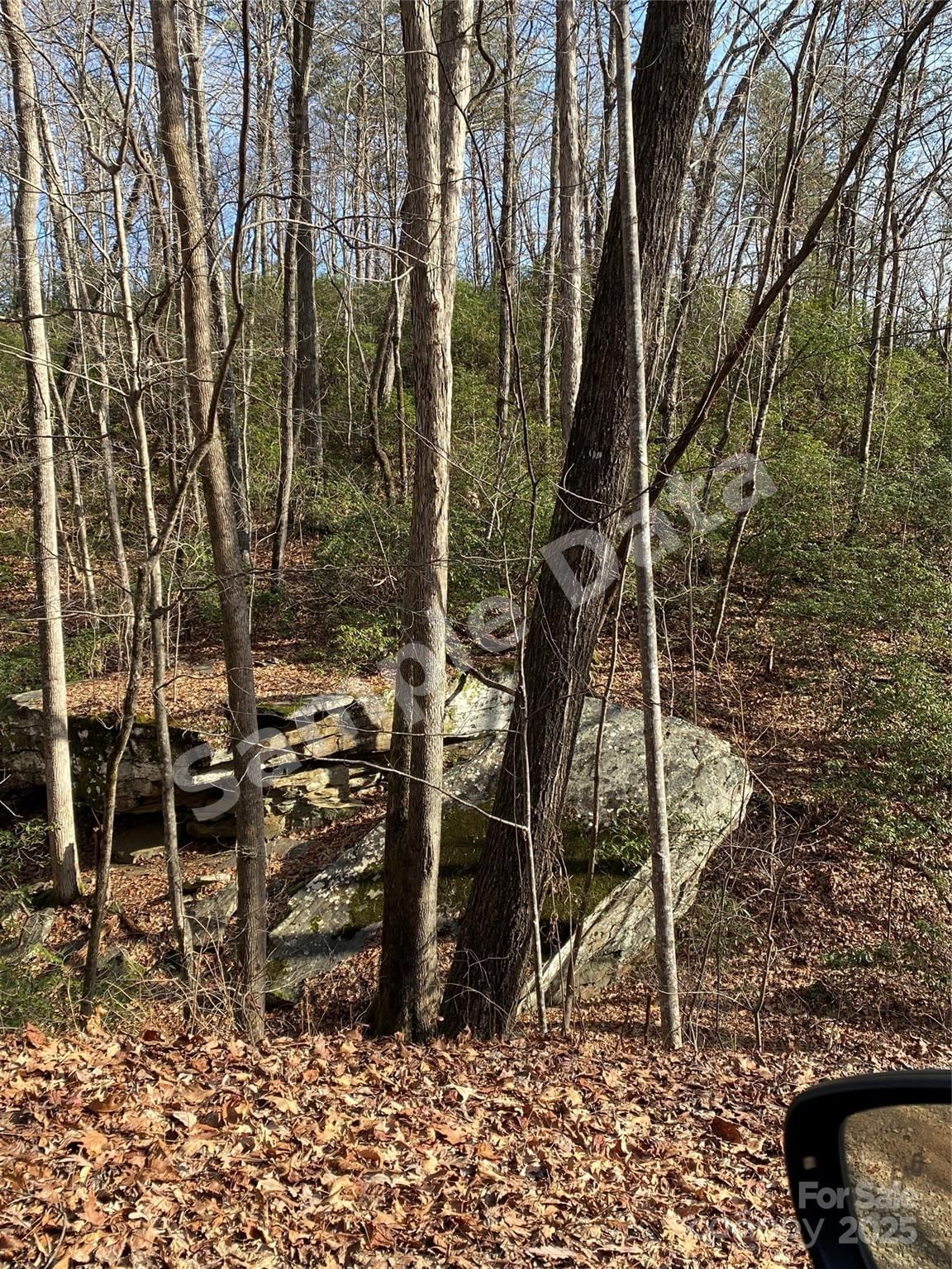 0 Pinnacle Pkwy,Lower Switchback Parkway photo 11