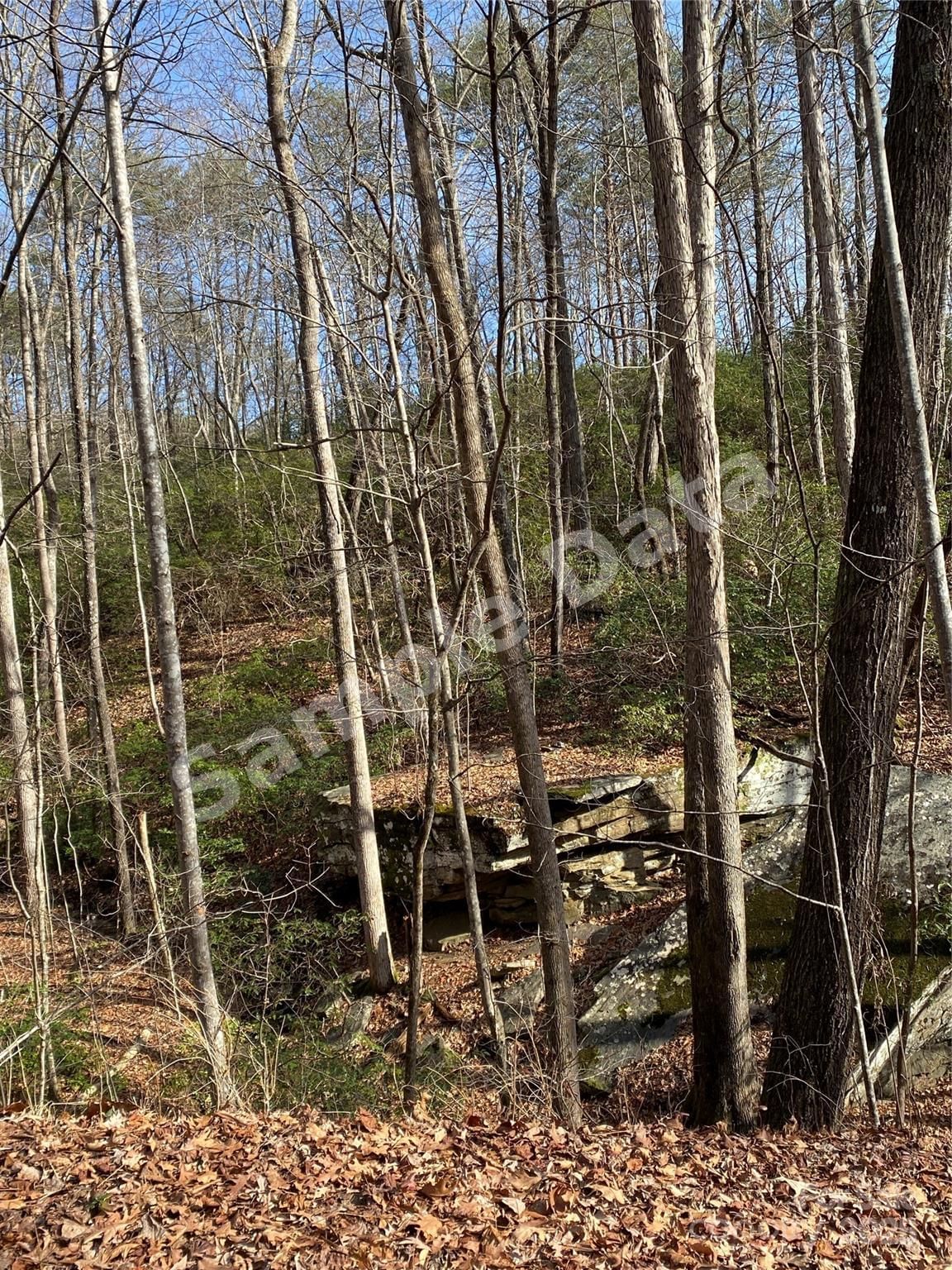 0 Pinnacle Pkwy,Lower Switchback Parkway photo 12