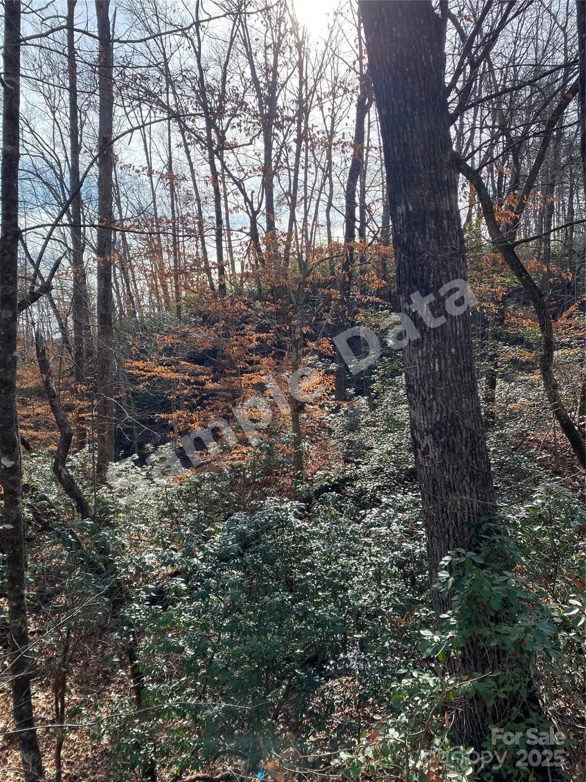 0 Pinnacle Pkwy,Lower Switchback Parkway photo 3