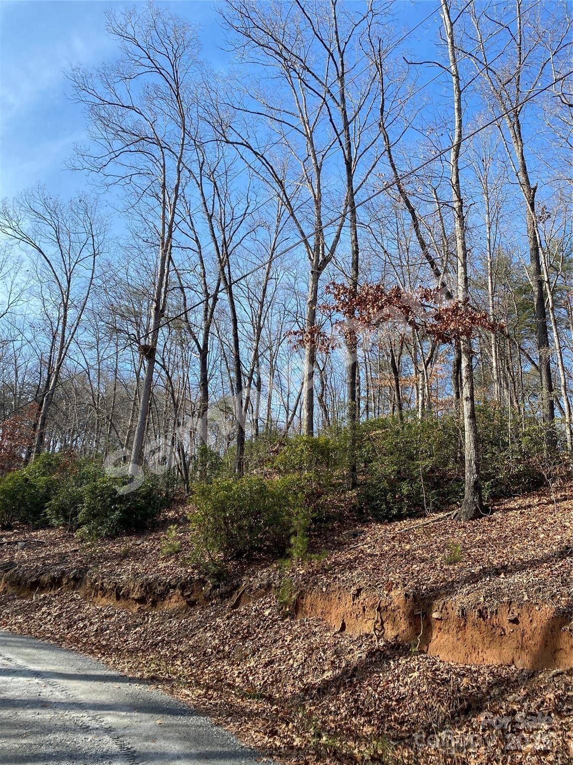 0 Pinnacle Pkwy,Lower Switchback Parkway photo 4