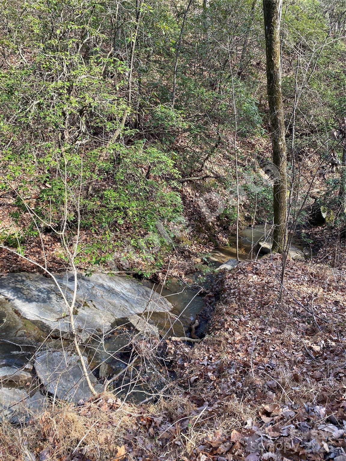 0 Pinnacle Pkwy,Lower Switchback Parkway photo 5