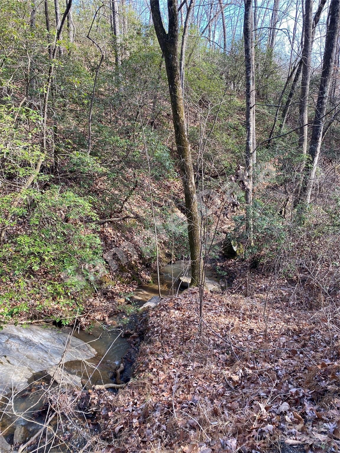 0 Pinnacle Pkwy,Lower Switchback Parkway photo 6