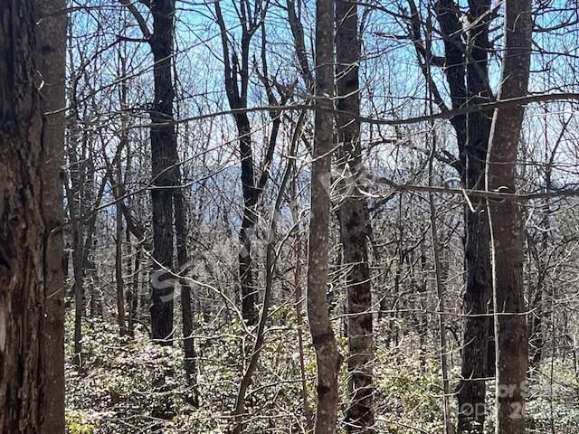 Photo of Lot 79 Arrowhead Trail