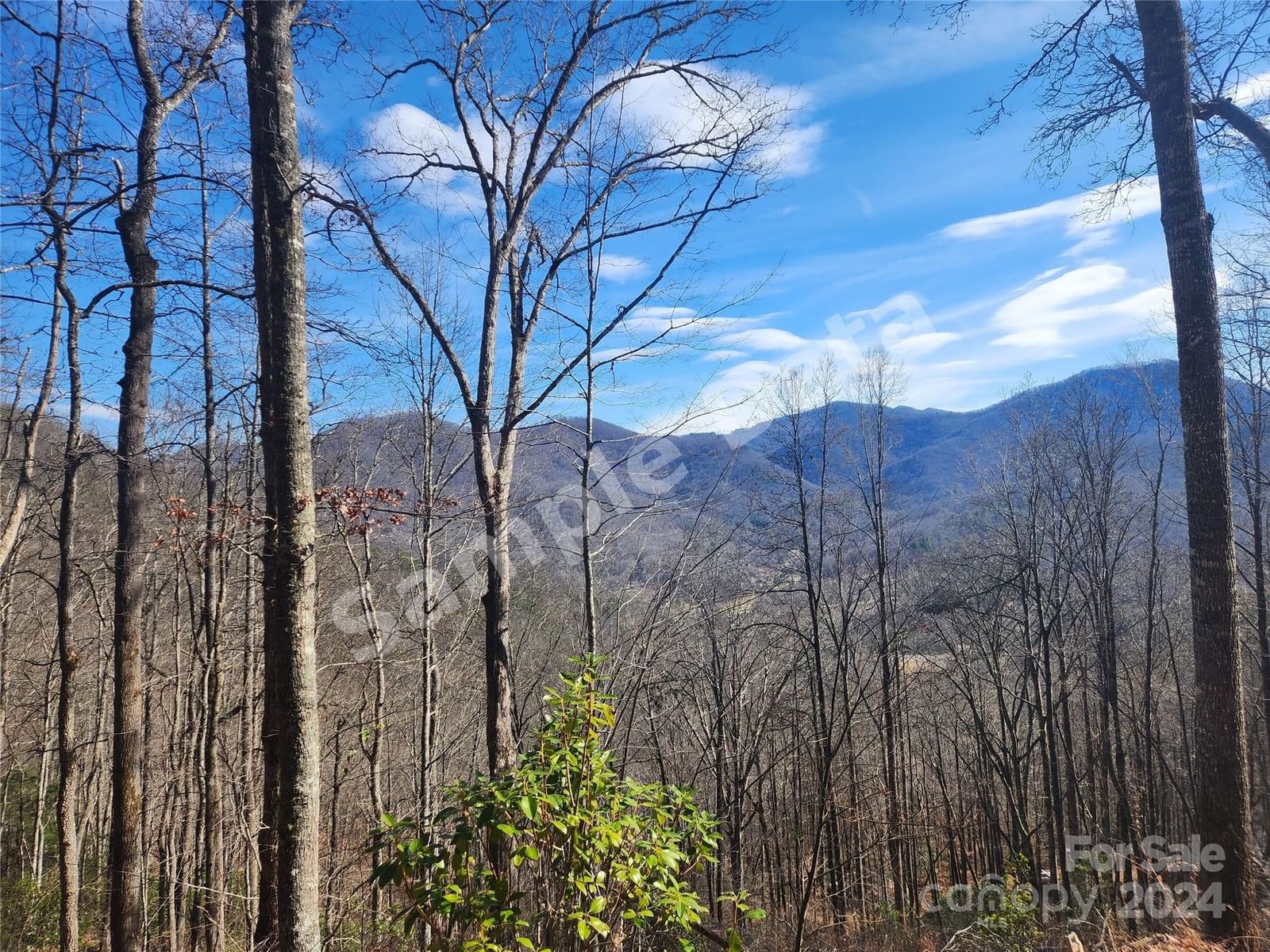 Photo of Tr 1,2 Dove Road