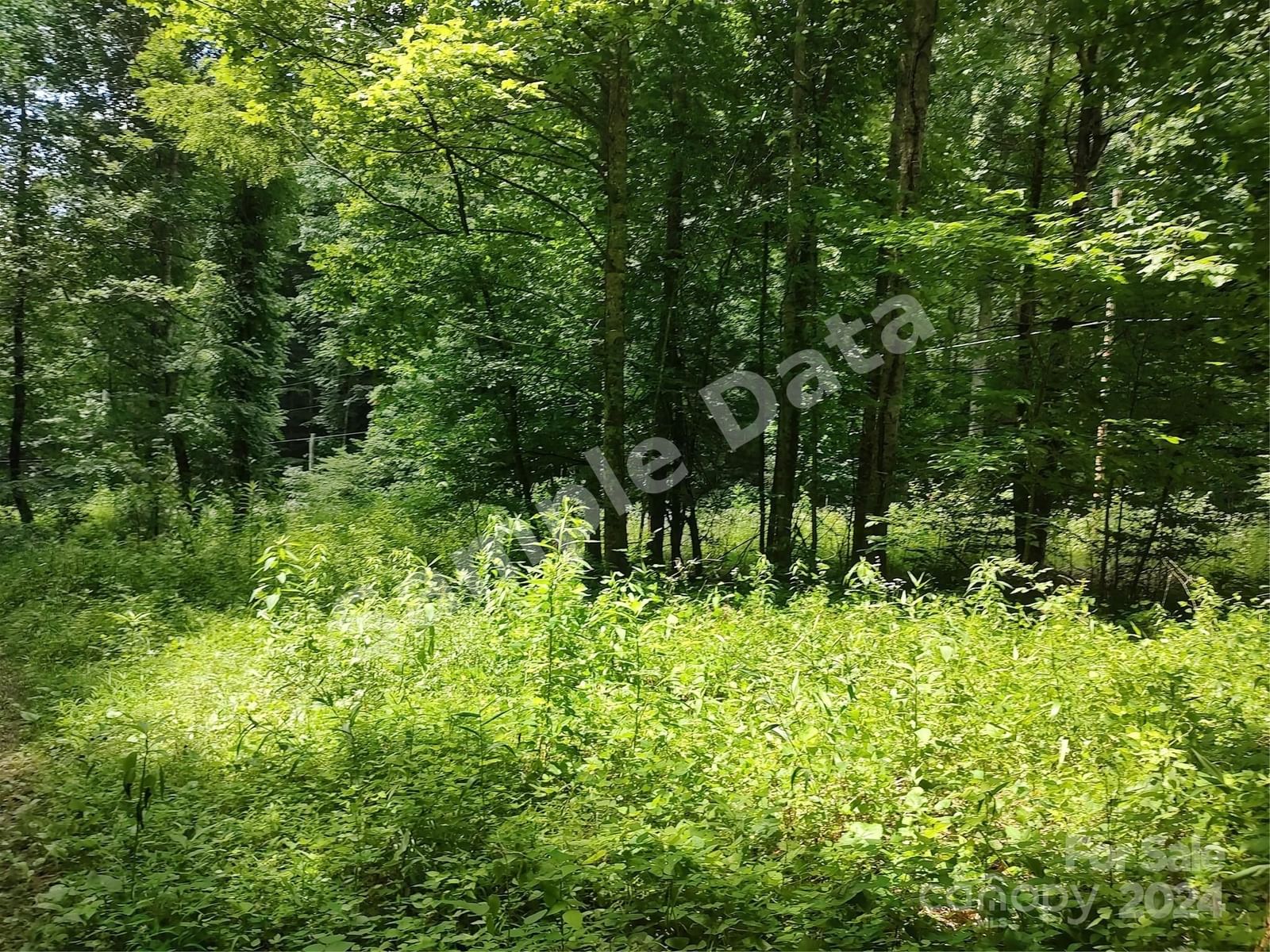 9999 Lisenbee Road photo 12