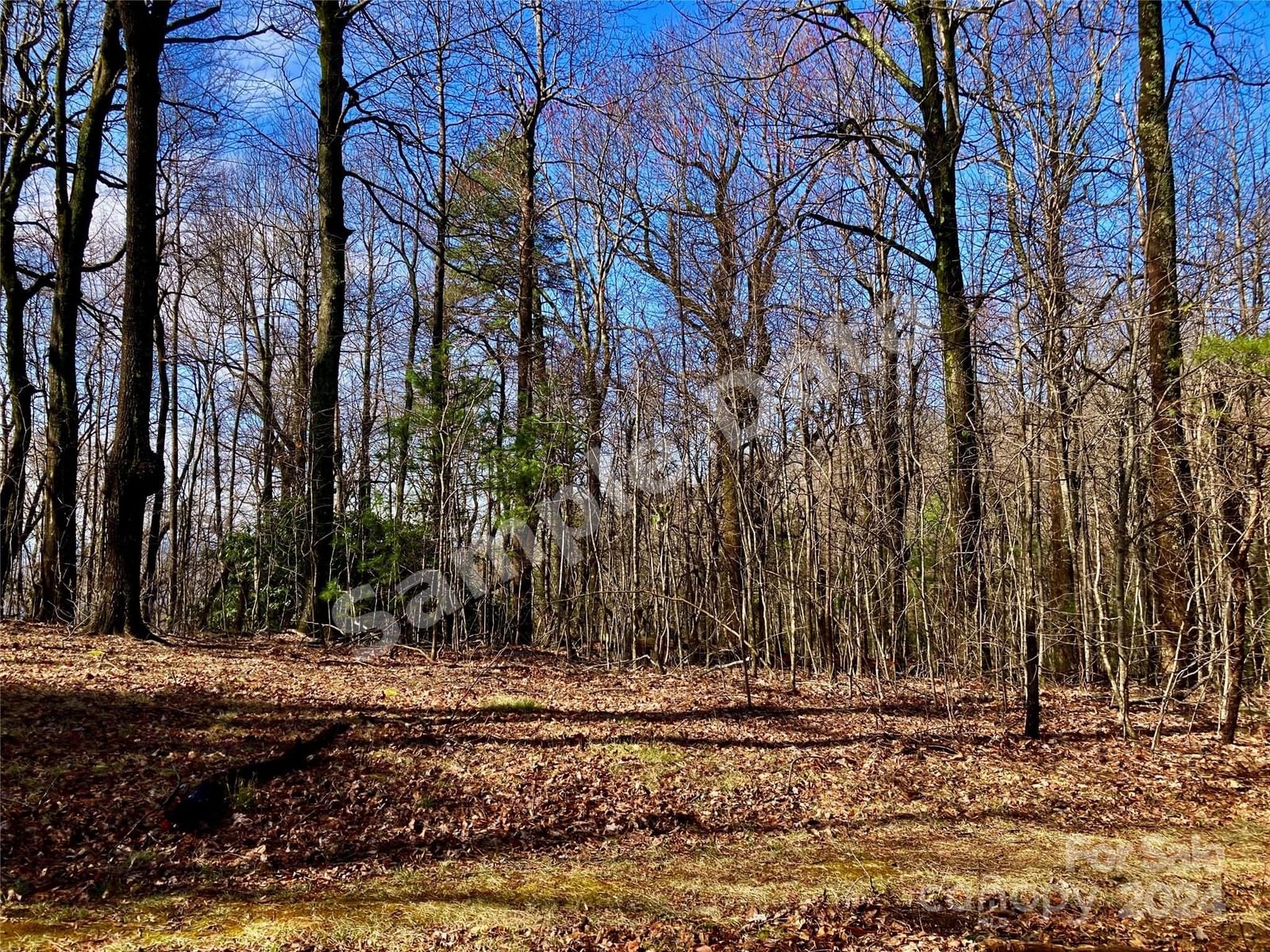 Photo of Mountain Summit Road