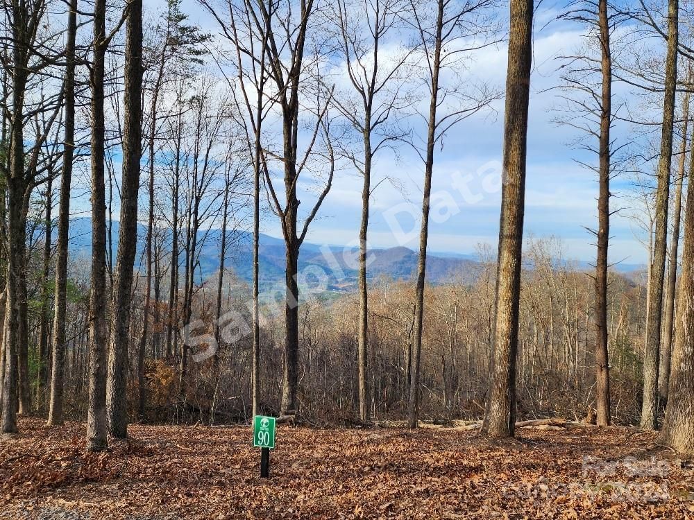 Photo of Lot 90 Wilderness Creek Way