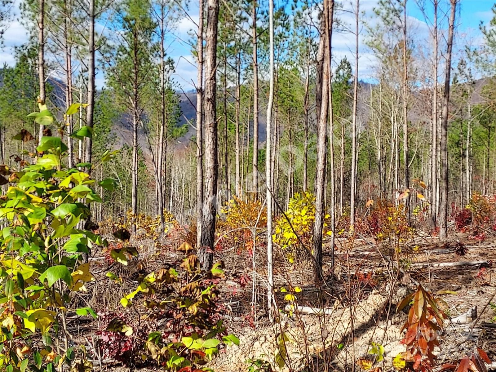 Photo of Bobby Mckinney Road
