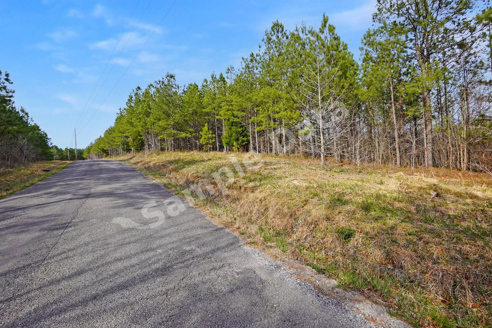 Photo of 14 Ribbon Branch Road