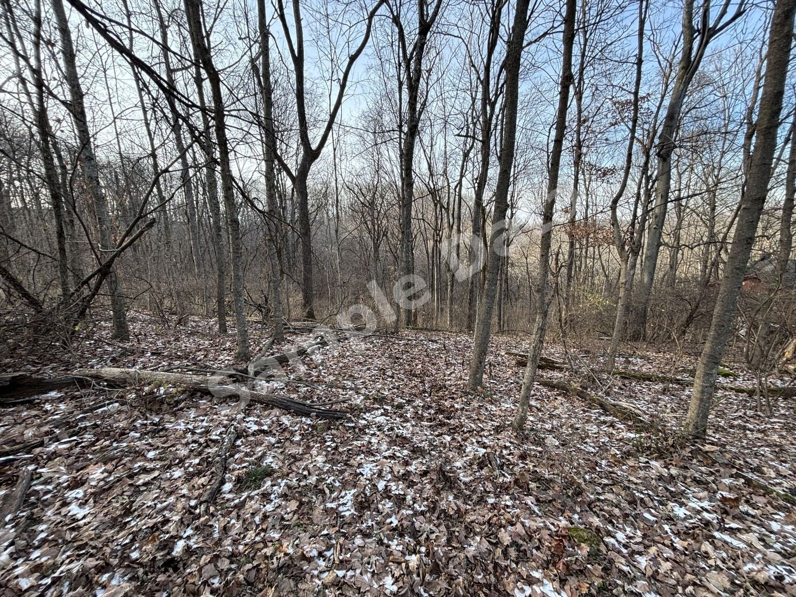 Photo of 1305 Robert E Lee Ln