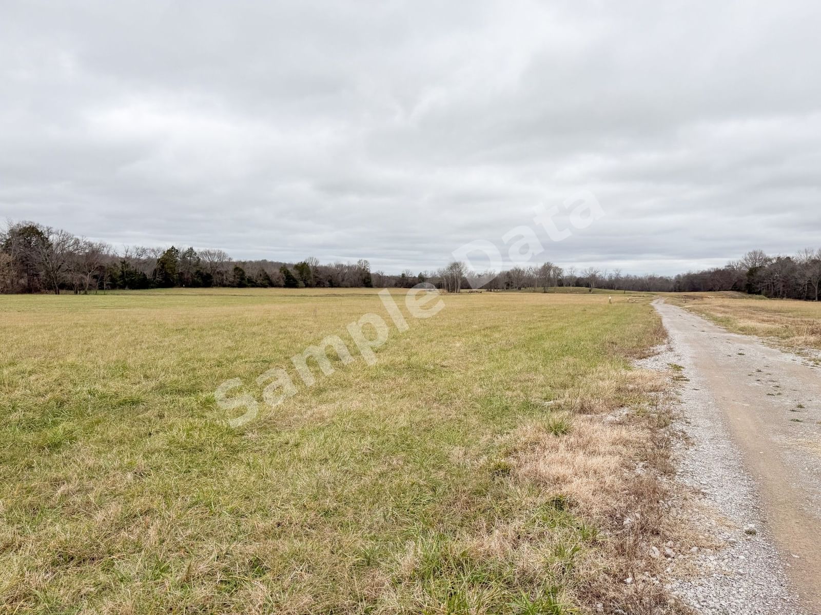 Photo of 4038 Hartsville Pike