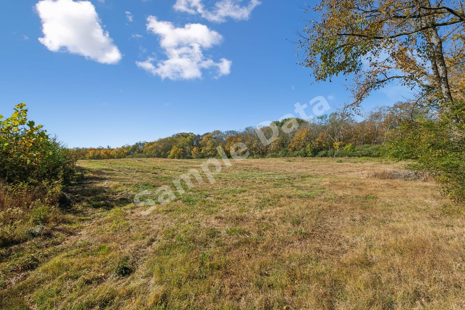 Photo of 4C Stephens Rd