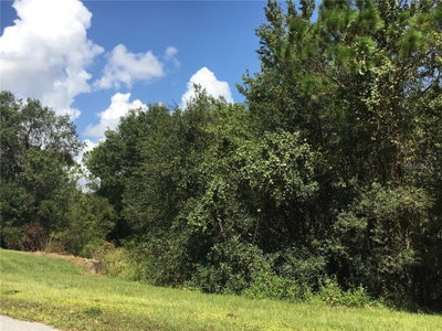 41025 20TH Place, Myakka City, FL, 34251 — photo 2
