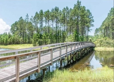 BRISTLE CONE DR, Wewahitchka, FL, 32465 — photo 2