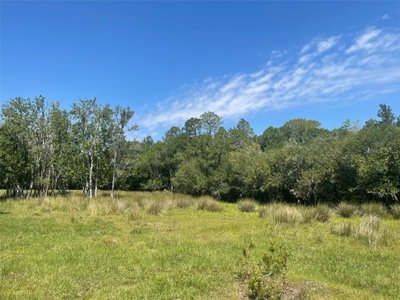 42151 STATE RD 64, Myakka City, FL, 34251 — photo 2