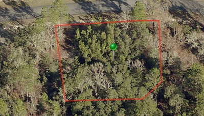 3198 MONTGOMERY Lane, Citrus Springs, FL, 34433 — photo 2