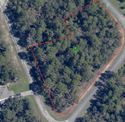 8021 EPIC Drive, Citrus Springs, FL, 34433 — photo 2