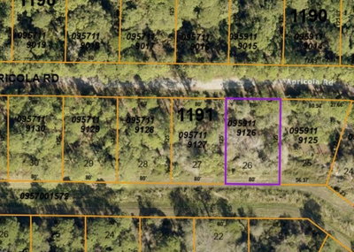 APRICOLA RD, North Port, FL, 34286 — photo 2