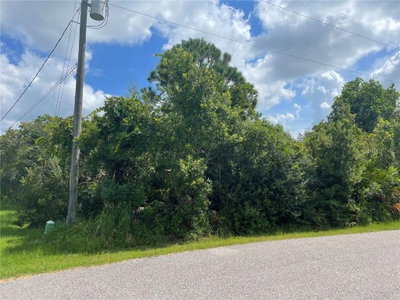 10 BUTTONBUSH Lane, Palm Coast, FL, 32137 — photo 2