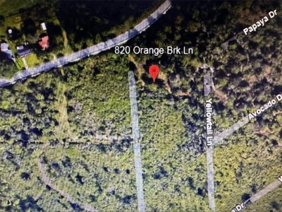 820 ORANGE BROOK LANE, Punta Gorda, FL, 33982 — photo 2