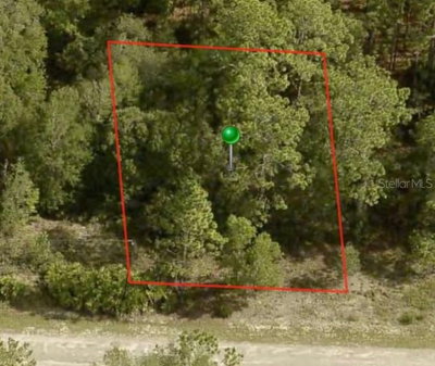 1245 RILEY Drive, Citrus Springs, FL, 34434 — photo 2