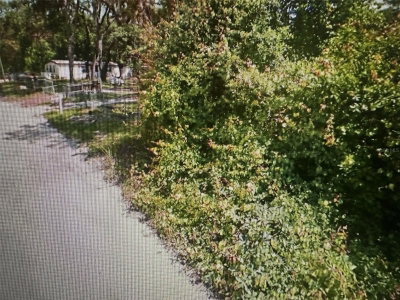MALATI Street, New Port Richey, FL, 34654 — photo 2