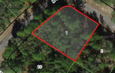 422 PARROT Place, Dunnellon, FL, 34434 — photo 2
