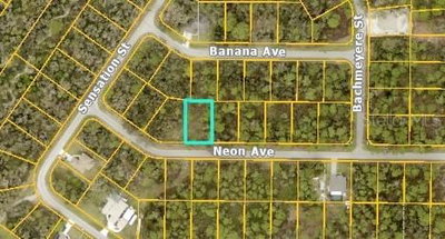 NEON Avenue, North Port, FL, 34291 — photo 2