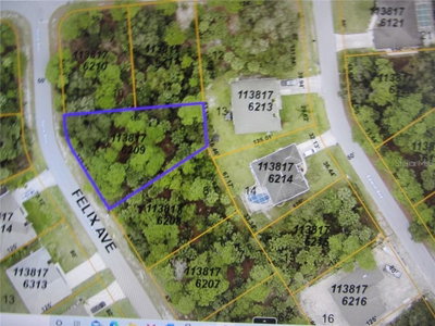 FELIX Avenue, North Port, FL, 34288 — photo 2
