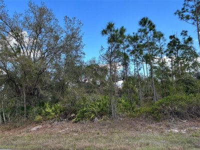 74 BALDUR Drive, Port Charlotte, FL, 33954 — photo 2