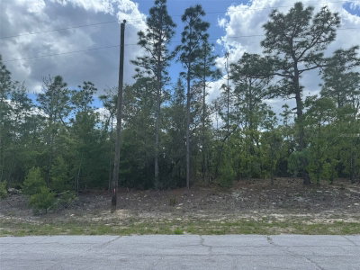 3000 LIZA Place, Dunnellon, FL, 34433 — photo 2