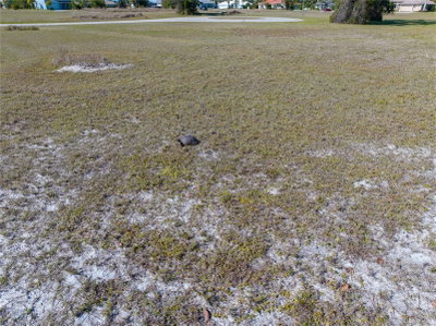 17154 SUGAR Court, Punta Gorda, FL, 33955 — photo 2
