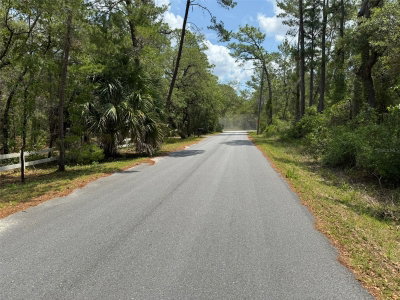 Lot 62 MICHIGAN Avenue, Weeki Wachee, FL, 34613 — photo 2