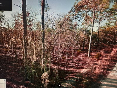 TBD NE 97TH COURT, Bronson, FL, 32621 — photo 2