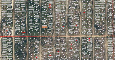 Lot 37 PAXON, Interlachen, FL, 32148 — photo 2