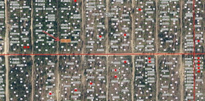 Lot 36 PAXON, Interlachen, FL, 32148 — photo 2