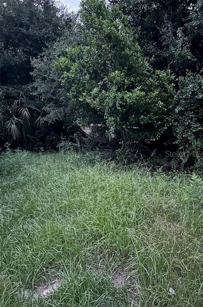 135 Lane, Umatilla, FL, 32784 — photo 2