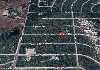 3234 FLATBUSH Avenue, Lake Placid, FL, 33852 — photo 2