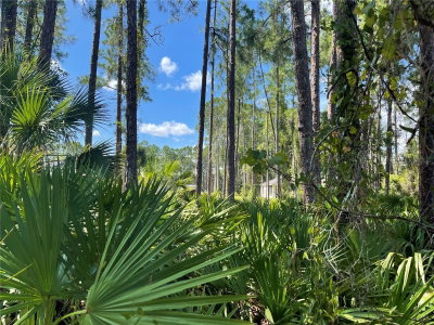 NOPPENBERG Avenue, North Port, FL, 34288 — photo 2