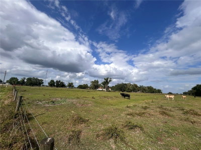 WASHINGTON Street, Arcadia, FL, 34266 — photo 2