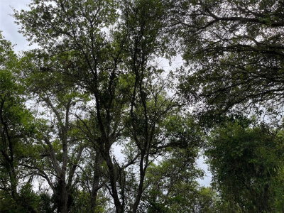 Lot 15 ANANAS Road, North Port, FL, 34288 — photo 2