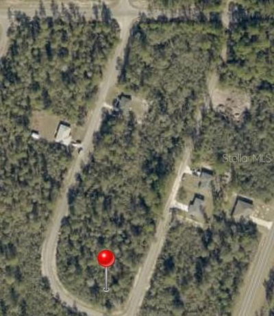 FISHER WAY Track, Ocklawaha, FL, 32179 — photo 2