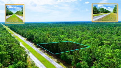 TBD LOT 20 JAPONICA Avenue, Indian Lake Estates, FL, 33855 — photo 2
