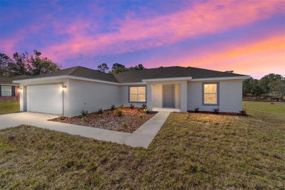 6411 204 Avenue, Dunnellon, FL, 34431 — photo 2