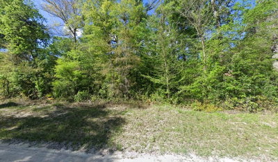 11 717TH ST, Old Town, FL, 32680 — photo 2
